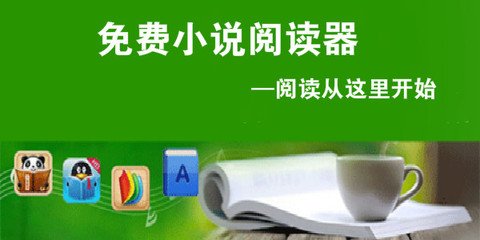 爱游戏版本的游戏